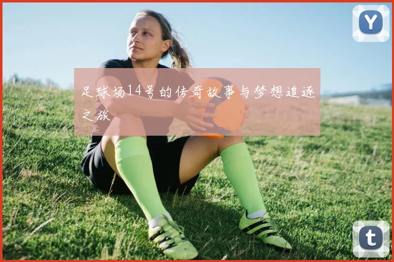 足球场14号的传奇故事与梦想追逐之旅