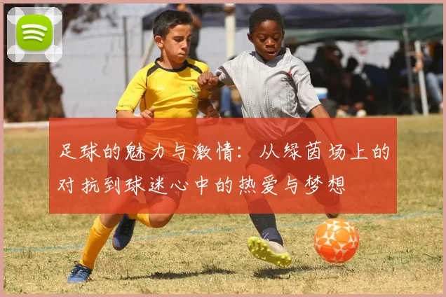 足球的魅力与激情：从绿茵场上的对抗到球迷心中的热爱与梦想