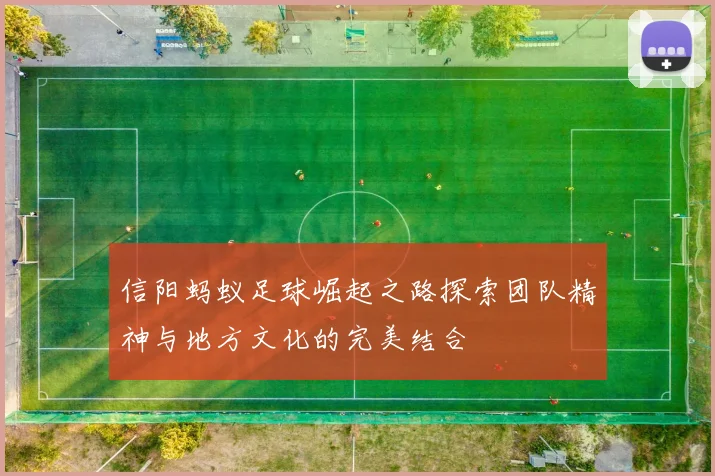 信阳蚂蚁足球崛起之路探索团队精神与地方文化的完美结合