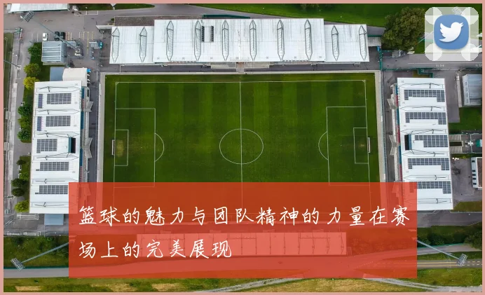 篮球的魅力与团队精神的力量在赛场上的完美展现