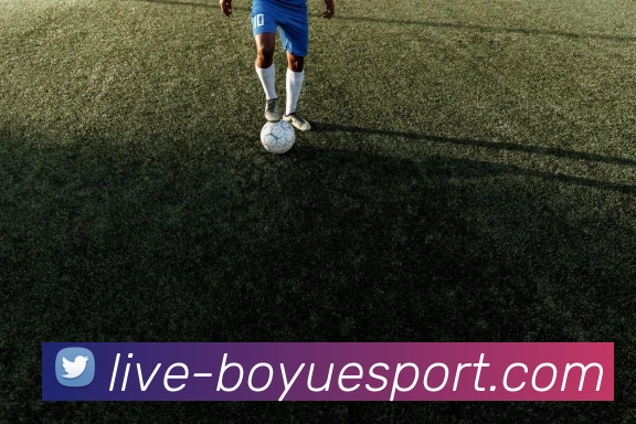 App Interface Preview