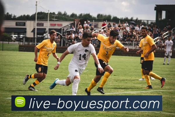 博鱼体育APP 封面图